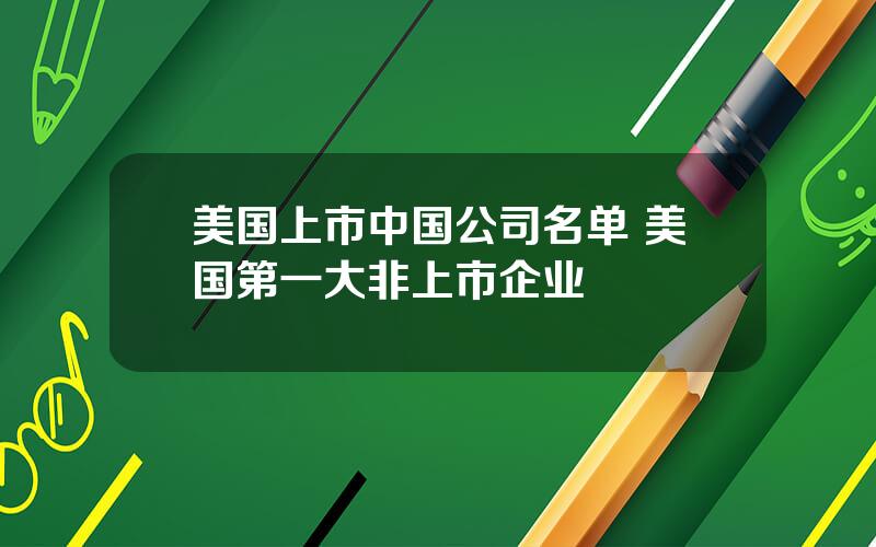 美国上市中国公司名单 美国第一大非上市企业